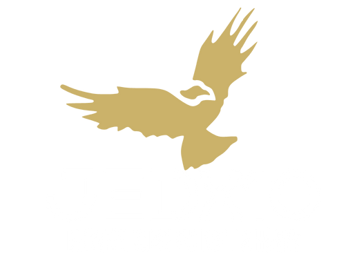 JEDX10 fitness illustration